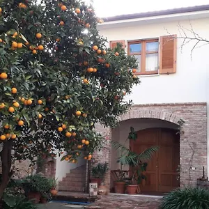 L'arancio Antico , Iglesias Italia